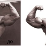 Нейронные сети научились удалять фон с изображений