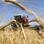 Уполномоченный по защите прав предпринимателей в Челябинской области выявил нарушения при предоставлении субсидий фермерам