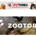 Мягкая мебель для собак и кошек от бренда ZOOTORIKA: комфорт и уют для каждого питомца